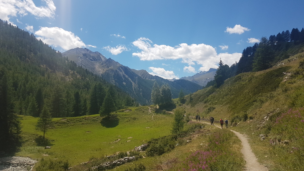 Scaled image 20220707-0003.jpg 