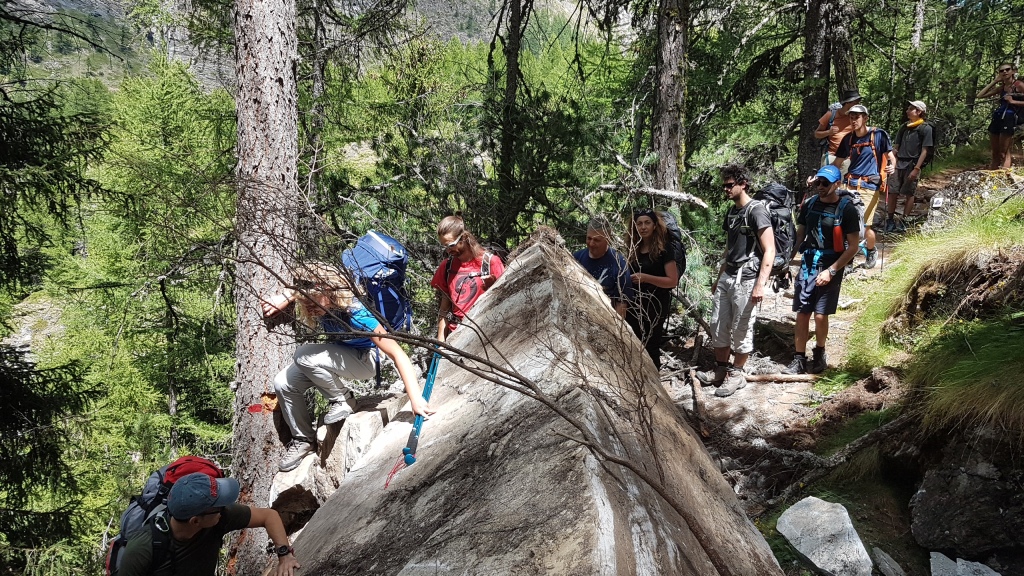 Scaled image 20220707-0007.jpg 