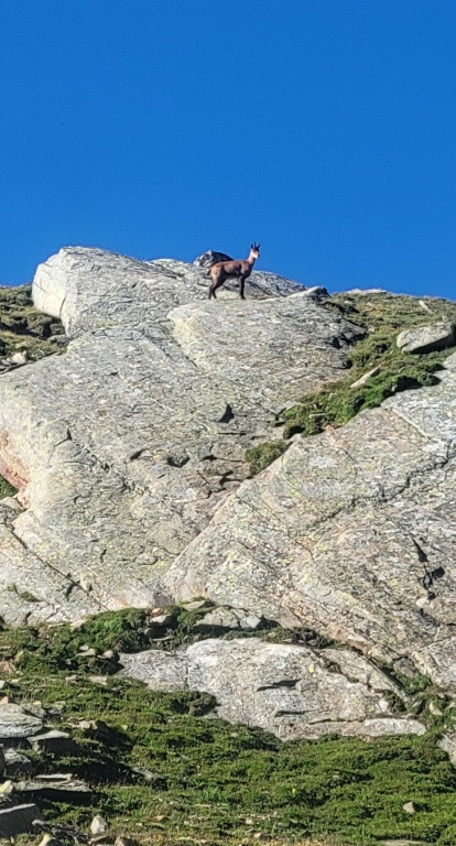 Scaled image 20220709-0004.jpg 